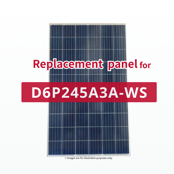 GBP245P-60 | Replacement panel for D6P245A3A-WS