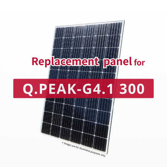 Ersatzpanel für Q.PEAK-G4.1 300