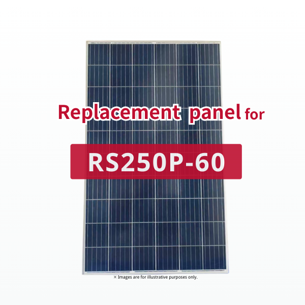 GBP250P-60PND | Replacement panel for RS250P-60