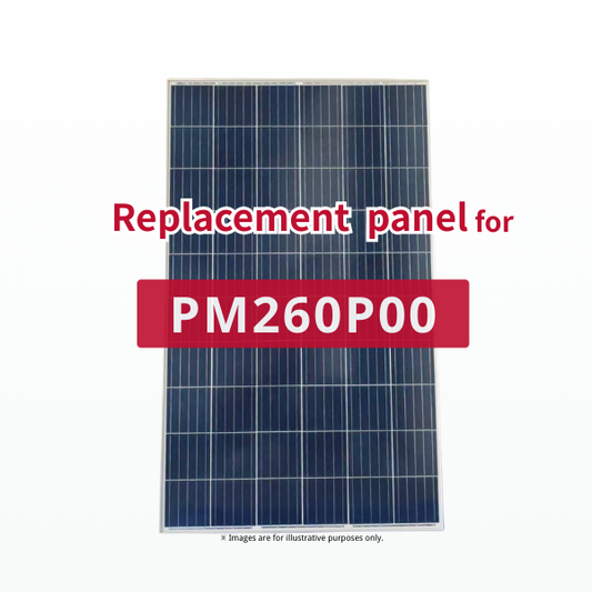 GBP260P-60PA | Ersatzpanel für PM260P00