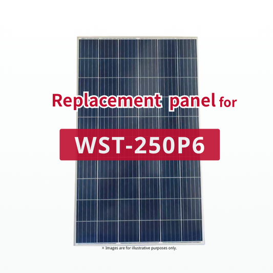GBP250P-60PND | Ersatzpanel für WST-250P6